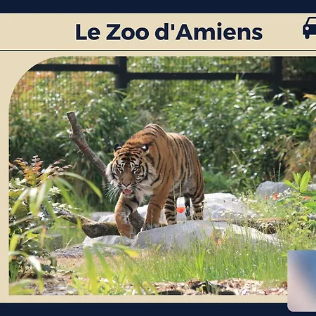 Apartment Le Nid D'or - Calme - Wifi Hd